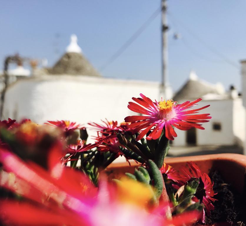 Trulli Fenice Alberobello Exterior foto